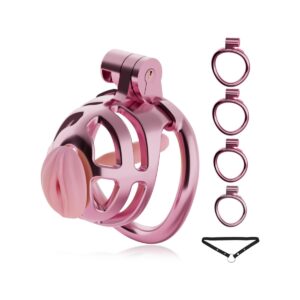 Male Chastity Cage, Lightweight Plastic Cock Cage with 4 Sizes Rings and Chastity Belts, Chastity Device with Invisible Lock and Key for Man Penis Erection Control & Bondage Play, BDSM Adult Sex Toys